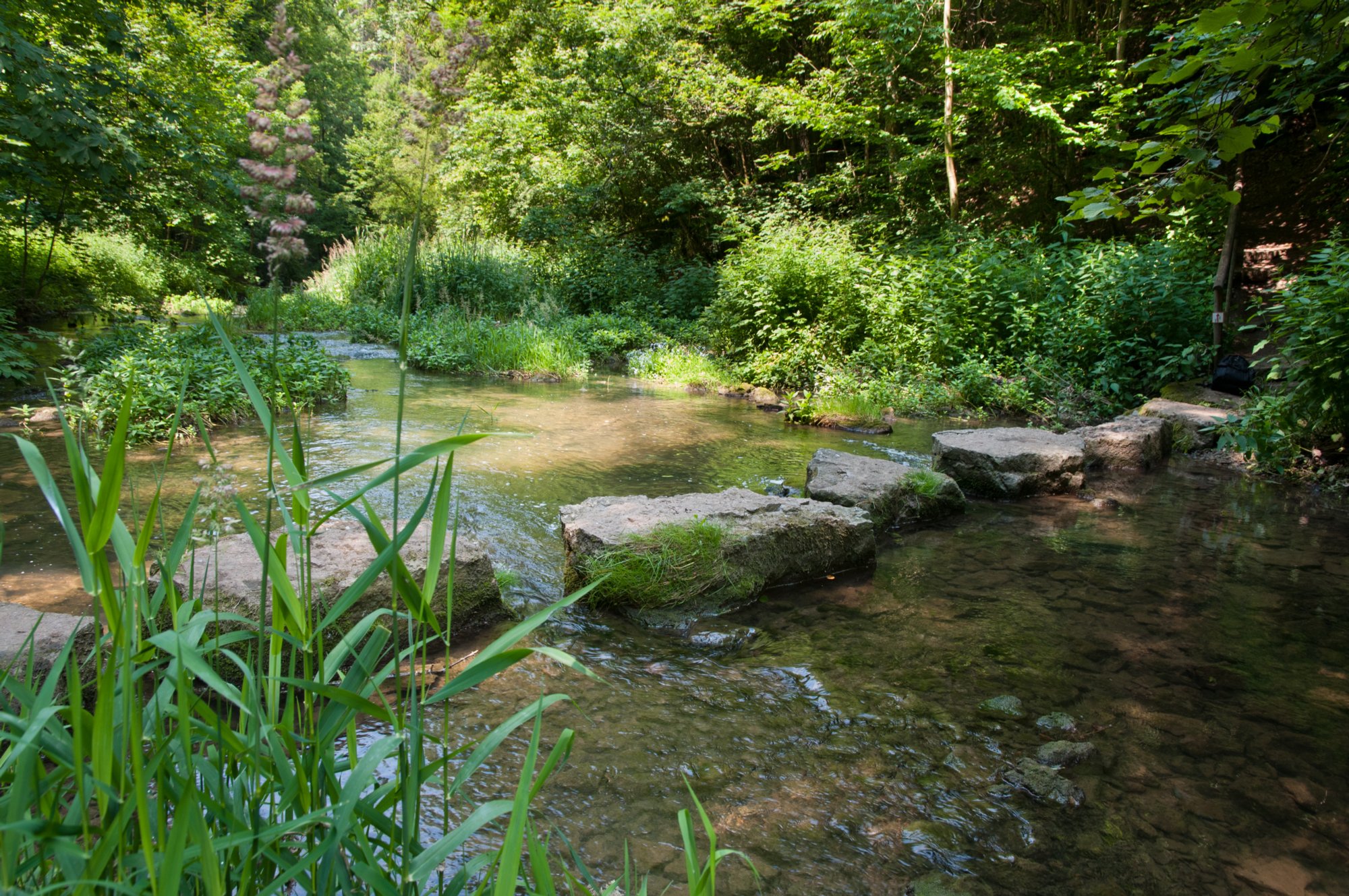 Der Staig führt über auf großen Felsbrocken über die Gronach Wanderung von Gröningen über die Klosterruine Anhausen, Bölgental, Jagsttal und Hammerschmiede zurück nach Gröningen.