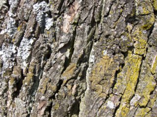 20110307_doerzbach_095