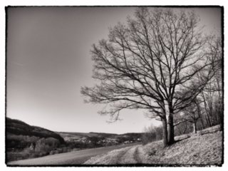 20110307_doerzbach_221-bearb-bw