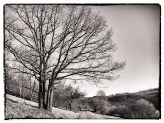 20110307_doerzbach_226-bearb-bw