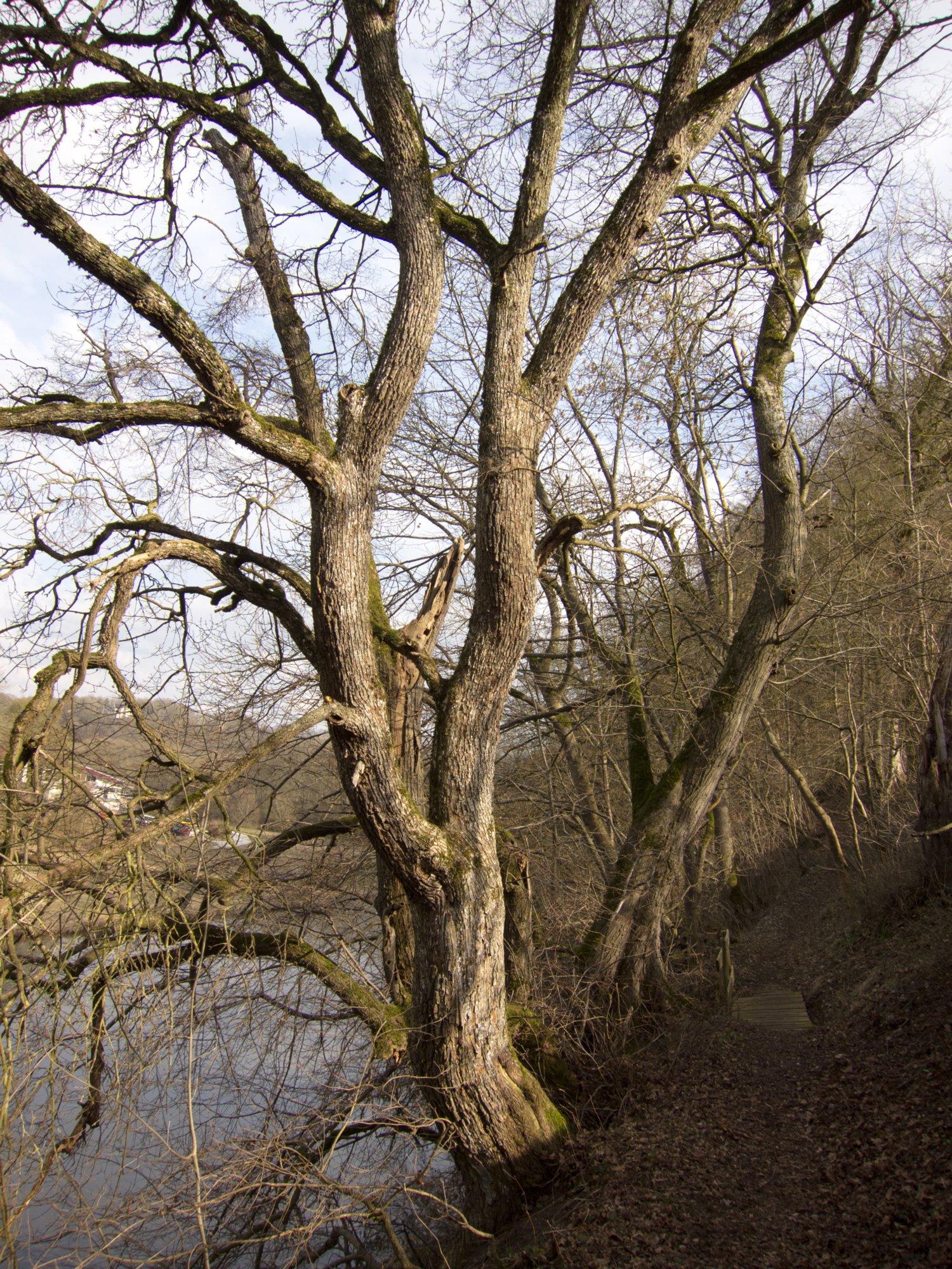 Weg zum Sophienberg Weg von Kirchberg zum Sophienberg hinauf. Wanderung vom Wanderparkplatz im Walderholungszentrum bei Kirchberg über die Villa Schönblick nach Gaggstatt. Von dort über die alte Verbindungsstraße zur Jugendherberge. Über die Alte Sulz (Stammburg der Ritter von Kirchberg) hinunter zur Jagstbrücke in Kirchberg. Über den Sophienberg zurück zum Wanderparkplatz.