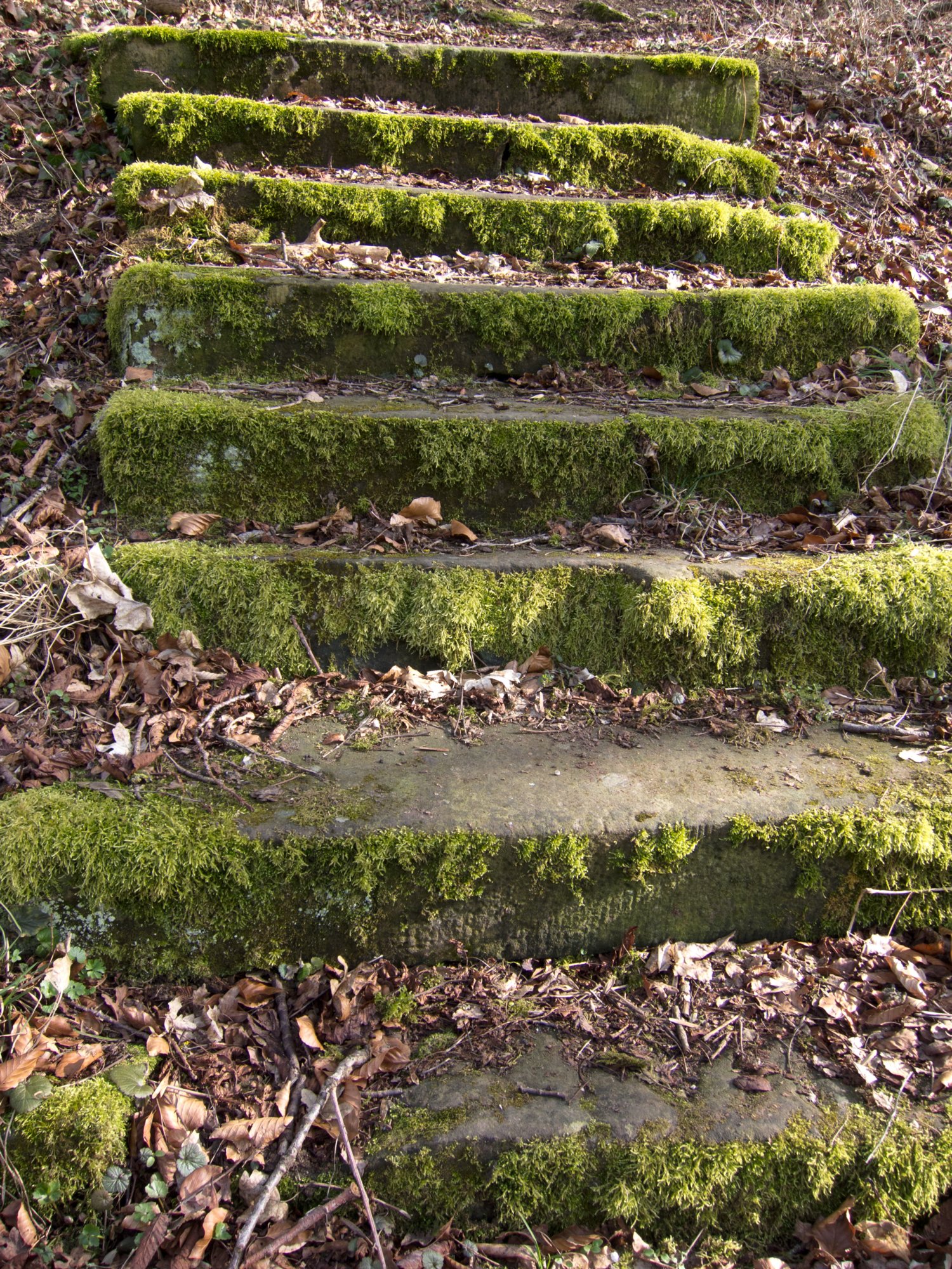 Weg zum Sophienberg Weg von Kirchberg zum Sophienberg hinauf. Wanderung vom Wanderparkplatz im Walderholungszentrum bei Kirchberg über die Villa Schönblick nach Gaggstatt. Von dort über die alte Verbindungsstraße zur Jugendherberge. Über die Alte Sulz (Stammburg der Ritter von Kirchberg) hinunter zur Jagstbrücke in Kirchberg. Über den Sophienberg zurück zum Wanderparkplatz.