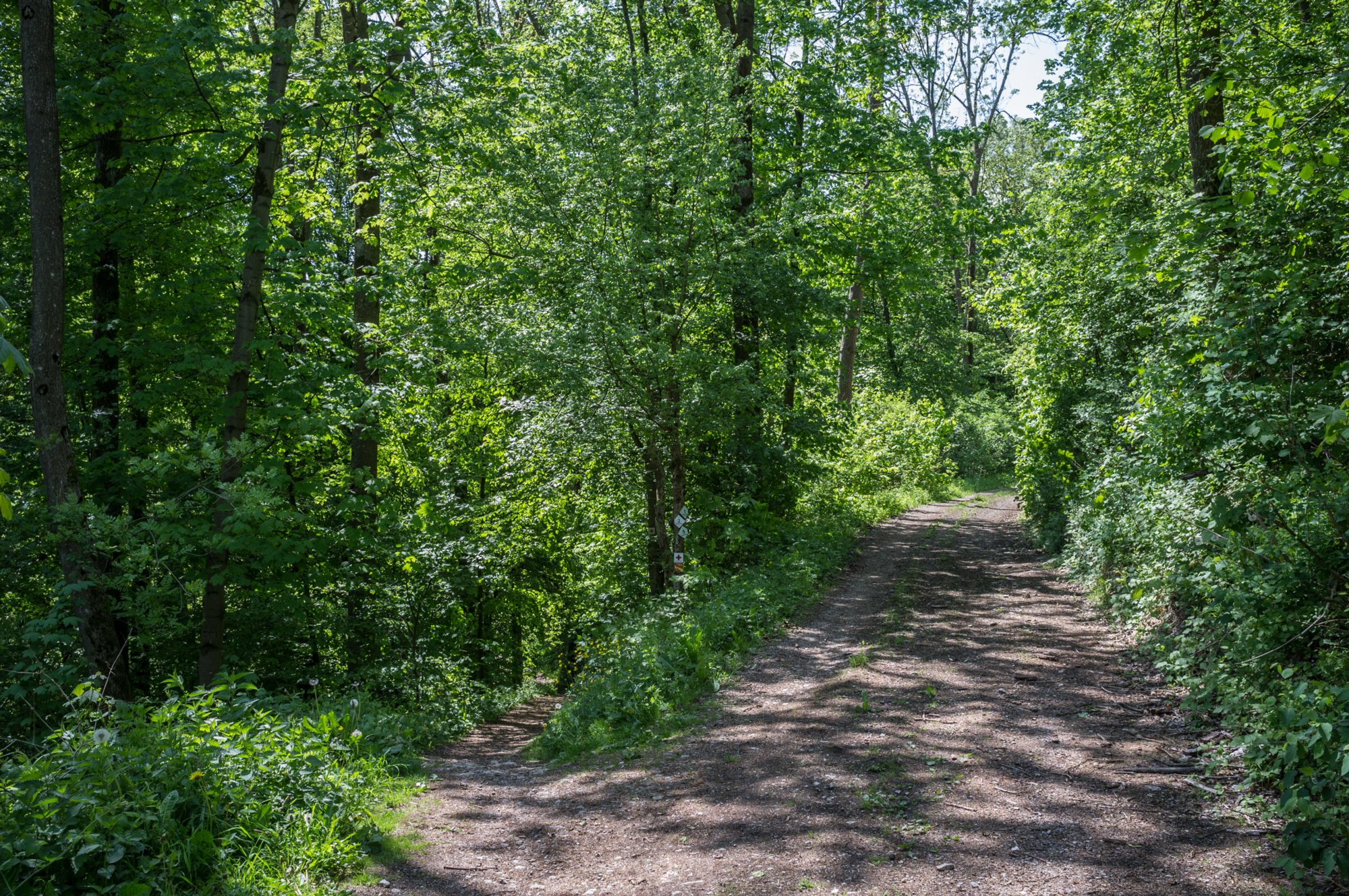 Abzweig zum Ockenauer Steg (links) Abzweig zum Ockenauer Steg (links). Wanderung von Kirchberg (Wanderparkplatz) nach Mistlau. Über Bölgental, ehemal. Heinzenmühle, Baierlestein, Lobenhausen und teufelsklinge zurück nach Kirchberg.