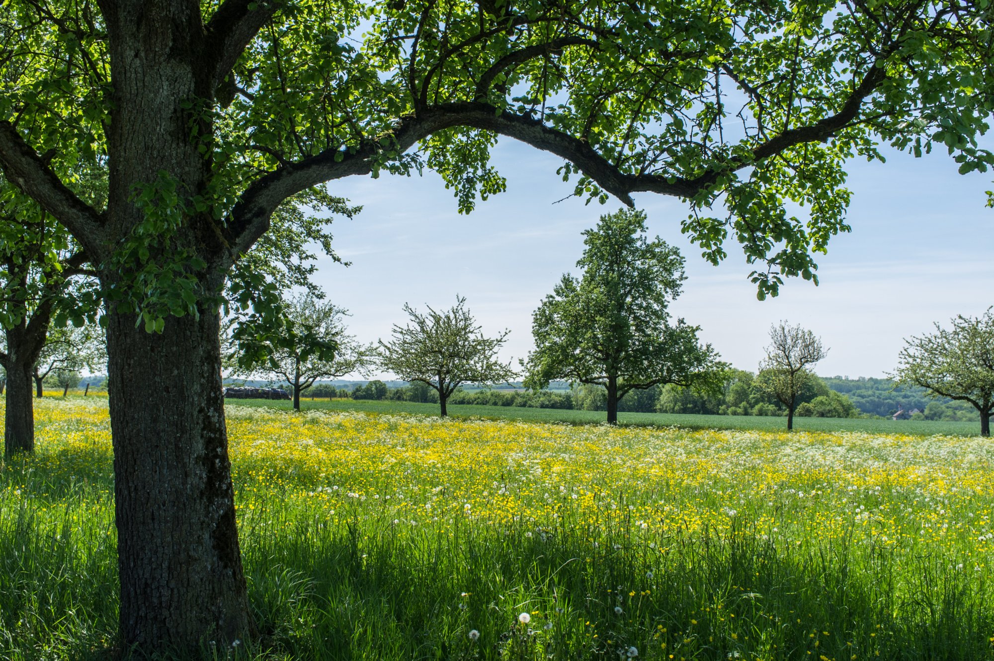 Bei Bögental Bei Bölgental. Wanderung von Kirchberg (Wanderparkplatz) nach Mistlau. Über Bölgental, ehemal. Heinzenmühle, Baierlestein, Lobenhausen und teufelsklinge zurück nach Kirchberg.