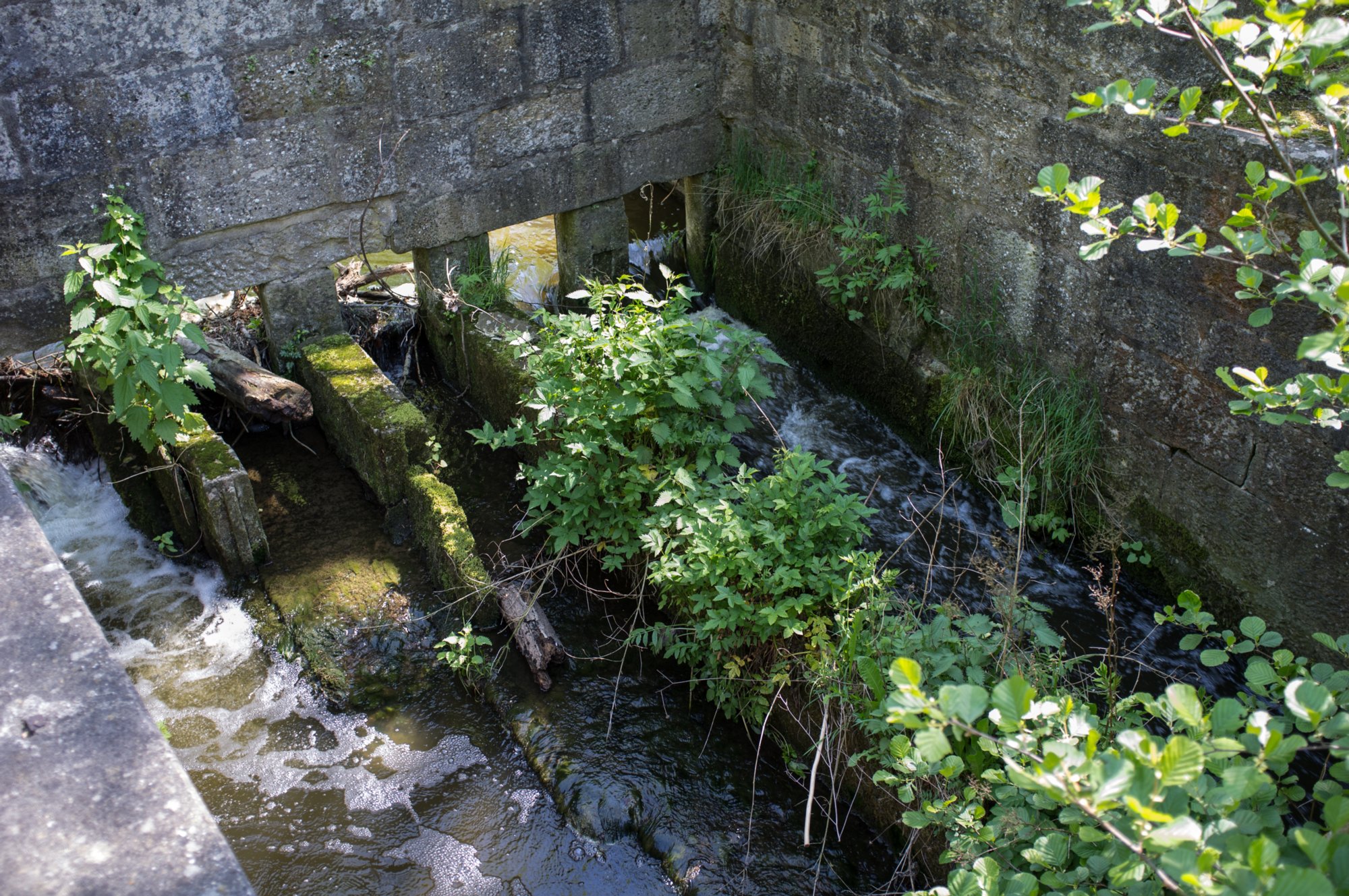 Jagst bei der ehemaligen Heinzenmühle Jagst bei der ehemaligen Heinzenmühle. Wanderung von Kirchberg (Wanderparkplatz) nach Mistlau. Über Bölgental, ehemal. Heinzenmühle, Baierlestein, Lobenhausen und teufelsklinge zurück nach Kirchberg.