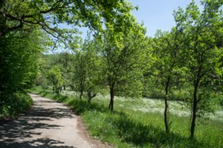 20120514_mistlau_075