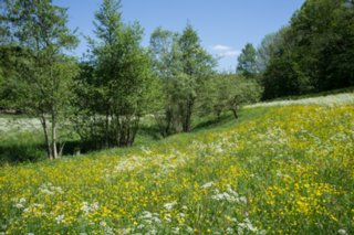 20120514_mistlau_085