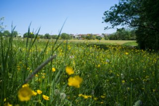 20120514_mistlau_107