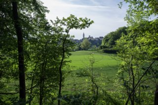 20120514_mistlau_170