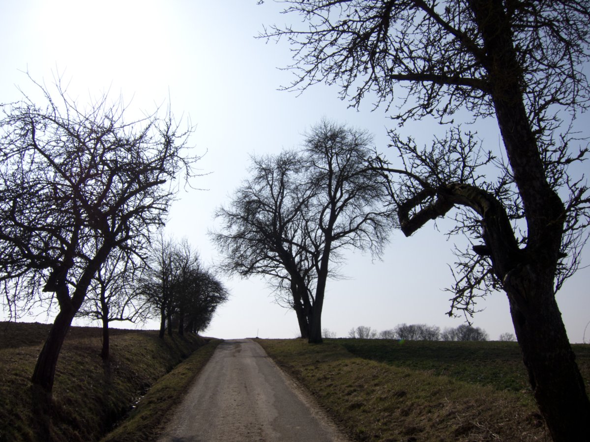 Weg zum jüdischen Friedhof Weg zum jüdischen Friedhof. Wanderung vom Kloster Schöntal über den jüdischen Friedhof nach Jagsthausen und nach Berlichingen