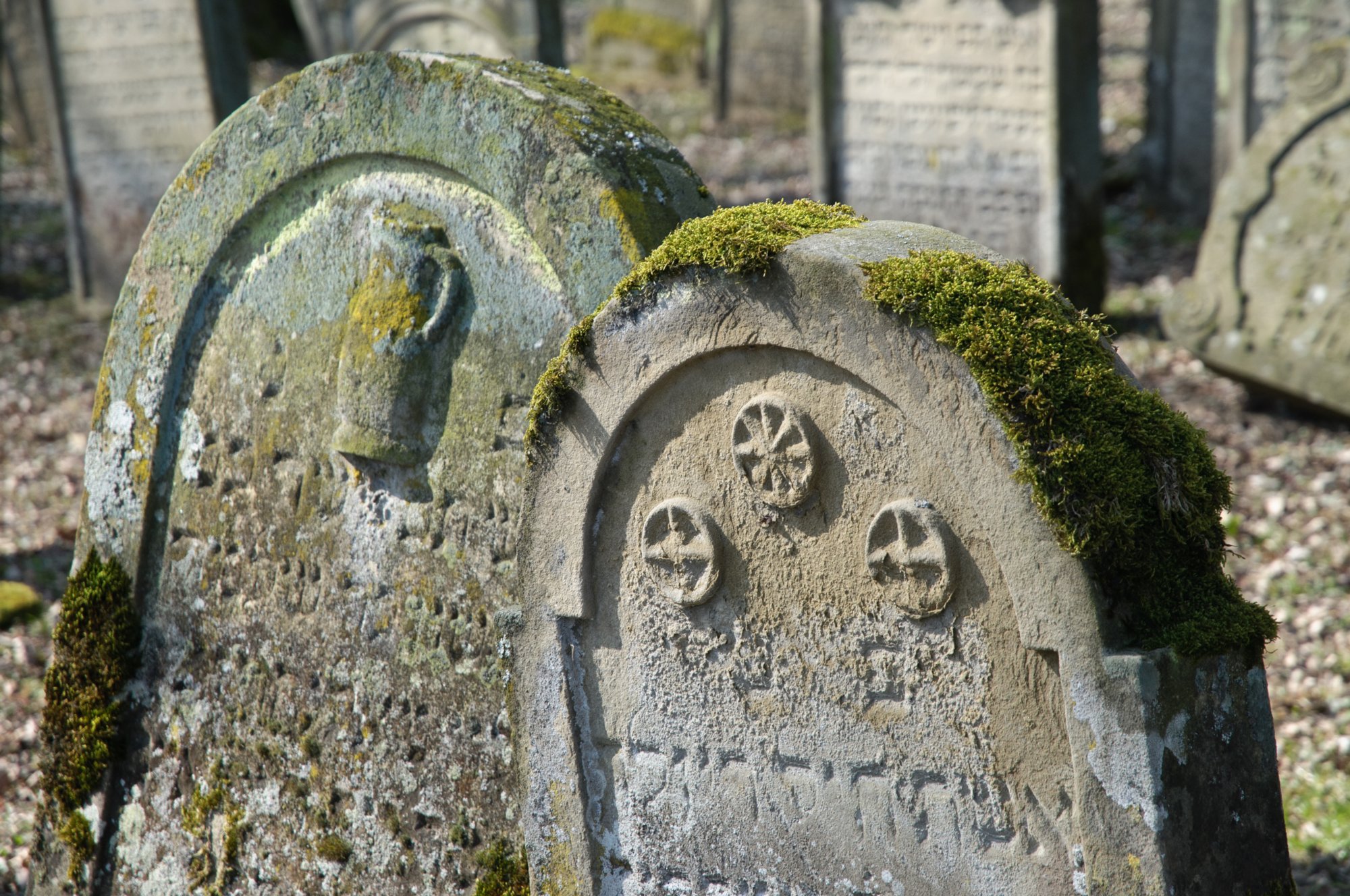 Jüdischer Friedhof Berlichingen Jüdischer Friedhof Berlichingen. Er wurde erstmals 1623 genannt und diente zahlreichen jüdischen Gemeinden der Umgebung als Begräbnisplatz (1706 genannt: Adelsheim, Sennfeld, Merchingen, Amt Krautheim, Hollenbach, Hohebach, Nagelsberg, teilweise auch Braunsbach; dazu bis ins 19./20. Jahrhundert Bieringen, Ernsbach, Künzelsau). Quelle: http://www.alemannia-judaica.de/berlichingen_friedhof.htm Wanderung vom Kloster Schöntal über den jüdischen Friedhof nach Jagsthausen und nach Berlichingen