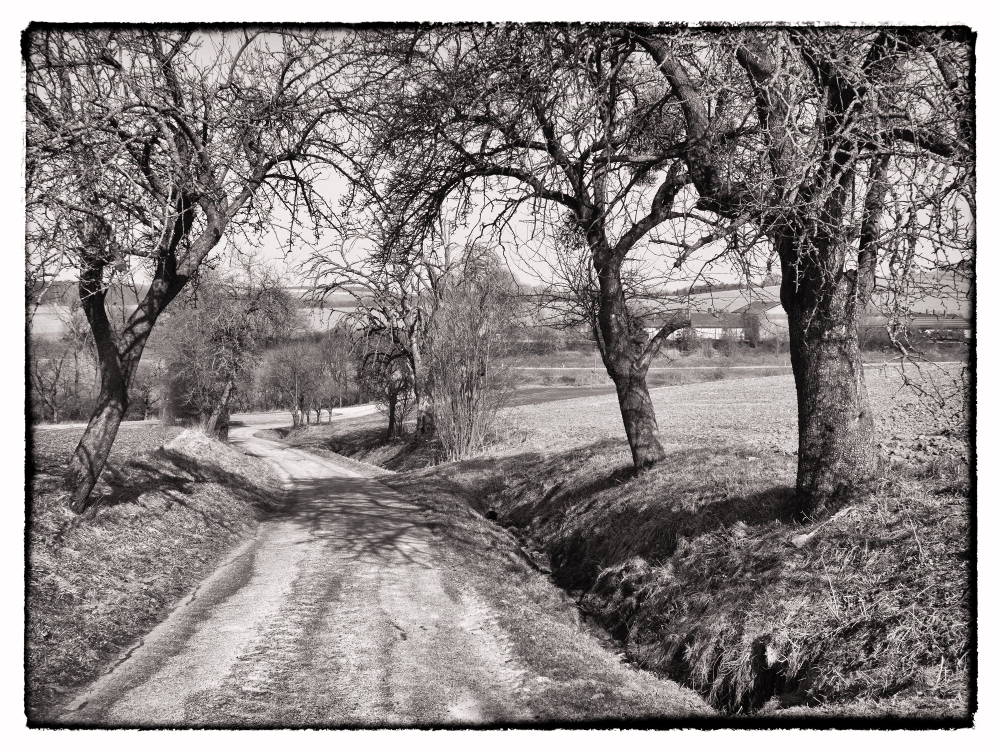 Weg zum jüdischen Friedhof Weg zum jüdischen Friedhof. Wanderung vom Kloster Schöntal über den jüdischen Friedhof nach Jagsthausen und nach Berlichingen