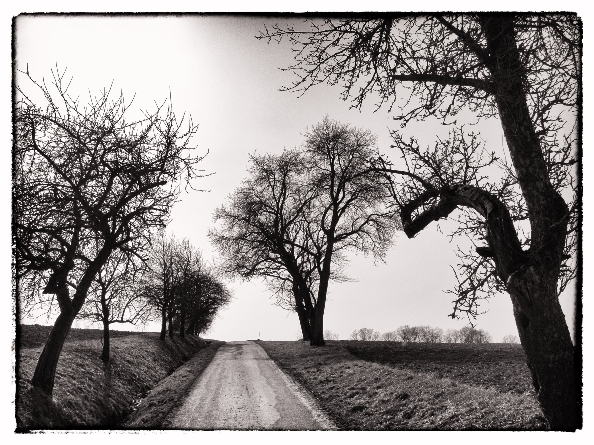 Weg zum jüdischen Friedhof Weg zum jüdischen Friedhof. Wanderung vom Kloster Schöntal über den jüdischen Friedhof nach Jagsthausen und nach Berlichingen