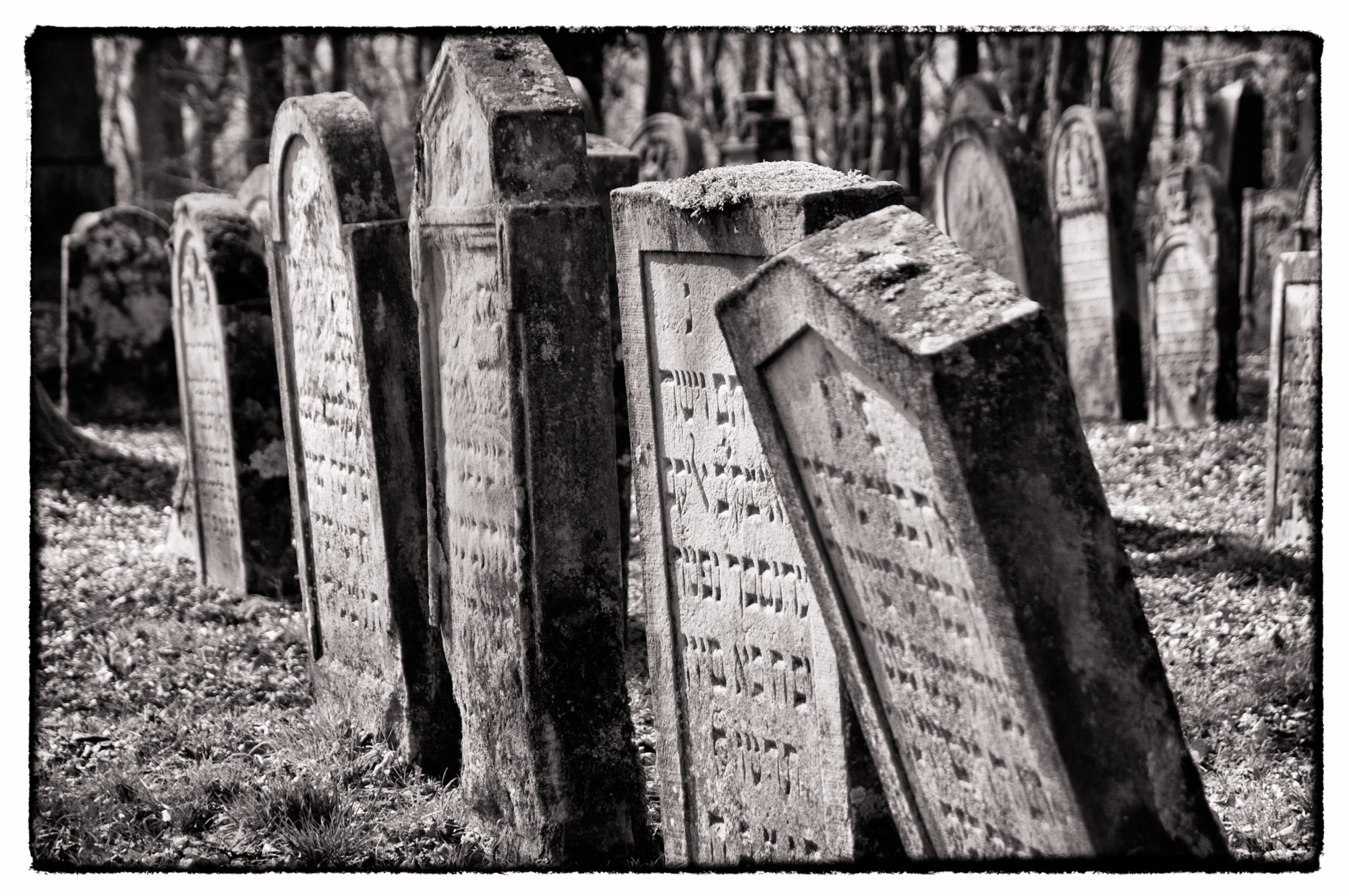 Jüdischer Friedhof Berlichingen Jüdischer Friedhof Berlichingen. Er wurde erstmals 1623 genannt und diente zahlreichen jüdischen Gemeinden der Umgebung als Begräbnisplatz (1706 genannt: Adelsheim, Sennfeld, Merchingen, Amt Krautheim, Hollenbach, Hohebach, Nagelsberg, teilweise auch Braunsbach; dazu bis ins 19./20. Jahrhundert Bieringen, Ernsbach, Künzelsau). Quelle: http://www.alemannia-judaica.de/berlichingen_friedhof.htm Wanderung vom Kloster Schöntal über den jüdischen Friedhof nach Jagsthausen und nach Berlichingen