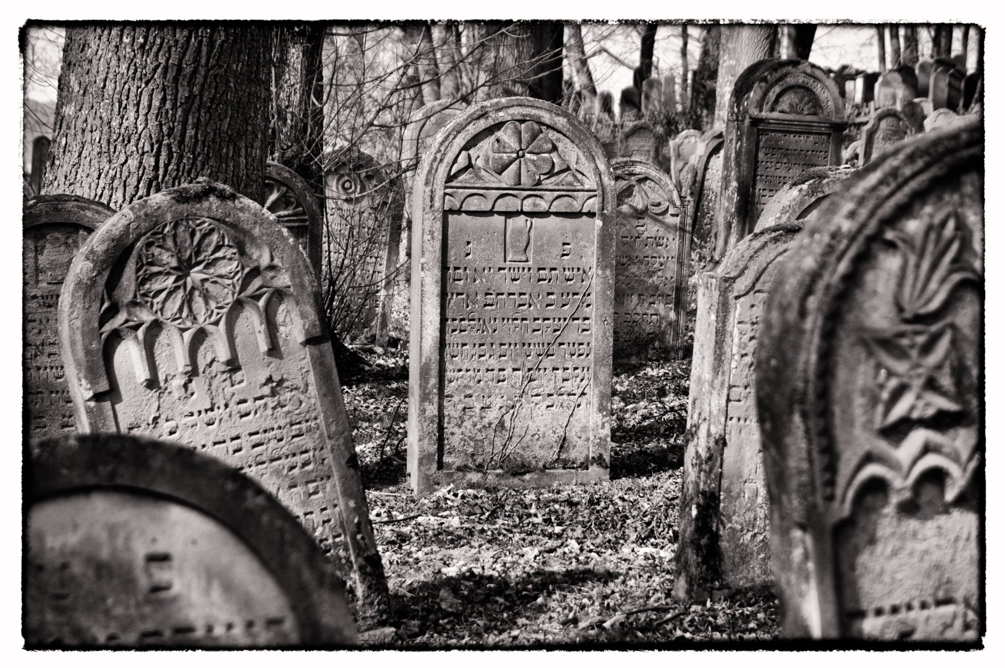 Jüdischer Friedhof Berlichingen Jüdischer Friedhof Berlichingen. Er wurde erstmals 1623 genannt und diente zahlreichen jüdischen Gemeinden der Umgebung als Begräbnisplatz (1706 genannt: Adelsheim, Sennfeld, Merchingen, Amt Krautheim, Hollenbach, Hohebach, Nagelsberg, teilweise auch Braunsbach; dazu bis ins 19./20. Jahrhundert Bieringen, Ernsbach, Künzelsau). Quelle: http://www.alemannia-judaica.de/berlichingen_friedhof.htm Wanderung vom Kloster Schöntal über den jüdischen Friedhof nach Jagsthausen und nach Berlichingen