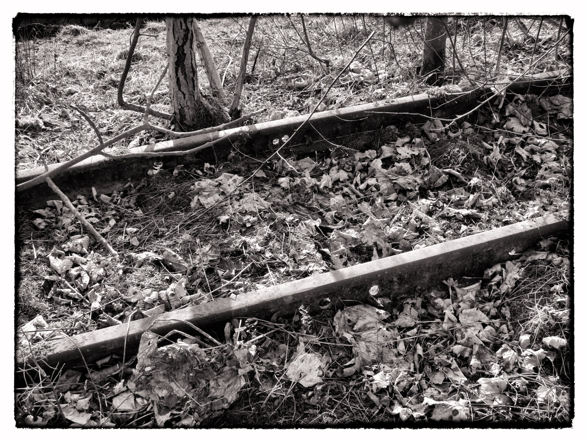 Weg von Jagsthausen nach Berlichingen Weg von Jagsthausen nach Berlichingen entlang der ehemaligen Schmalspurbahn. Wanderung vom Kloster Schöntal über den jüdischen Friedhof nach Jagsthausen und nach Berlichingen
