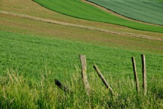 20110523_unterregenbach_161