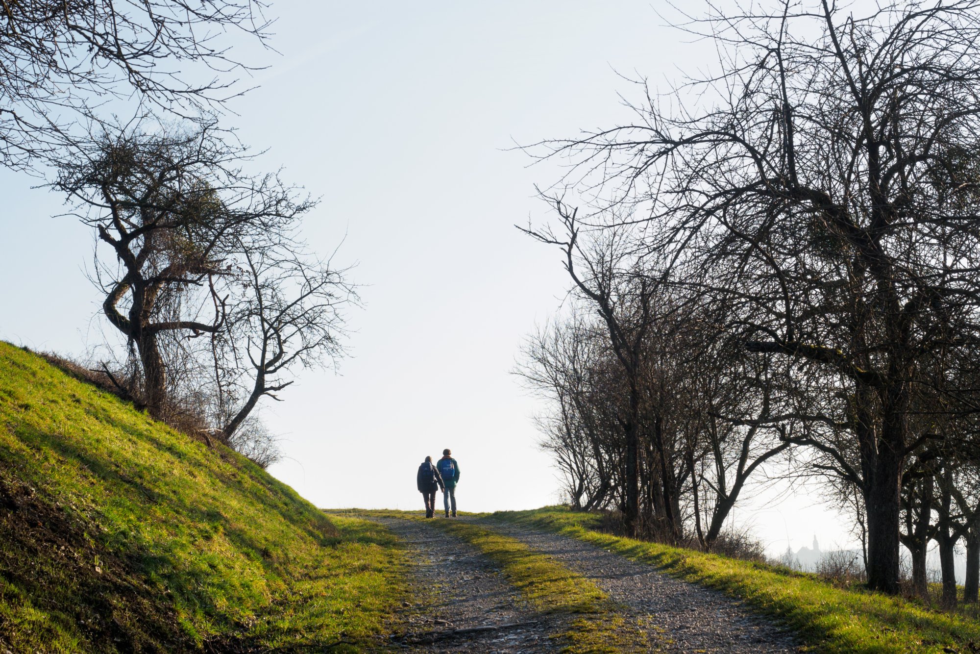 Panoramaweg nach Langenburg Wanderung von Bächlingen über Oberregenbach und Unterregenbach. Von dort über den Panoramaweg nach Langenburg und zurück nach Bächlingen.
