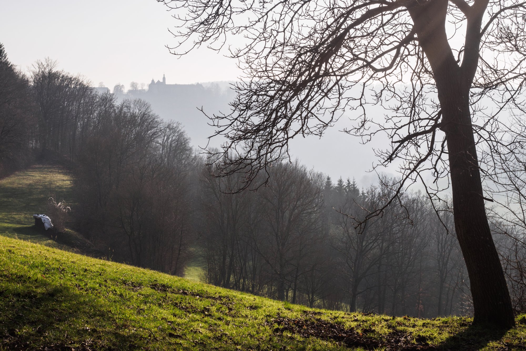 Panoramaweg nach Langenburg Wanderung von Bächlingen über Oberregenbach und Unterregenbach. Von dort über den Panoramaweg nach Langenburg und zurück nach Bächlingen.