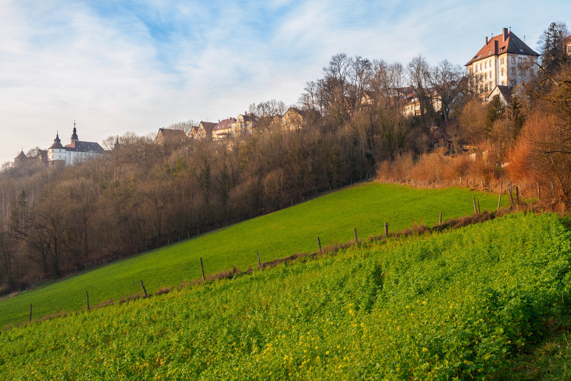 Langenburg Wanderung von Bächlingen über Oberregenbach und Unterregenbach. Von dort über den Panoramaweg nach Langenburg und zurück nach Bächlingen.
