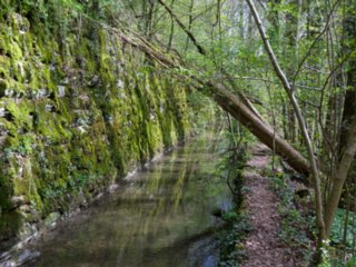 20110411_geyersburg_059