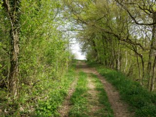 20110411_geyersburg_067