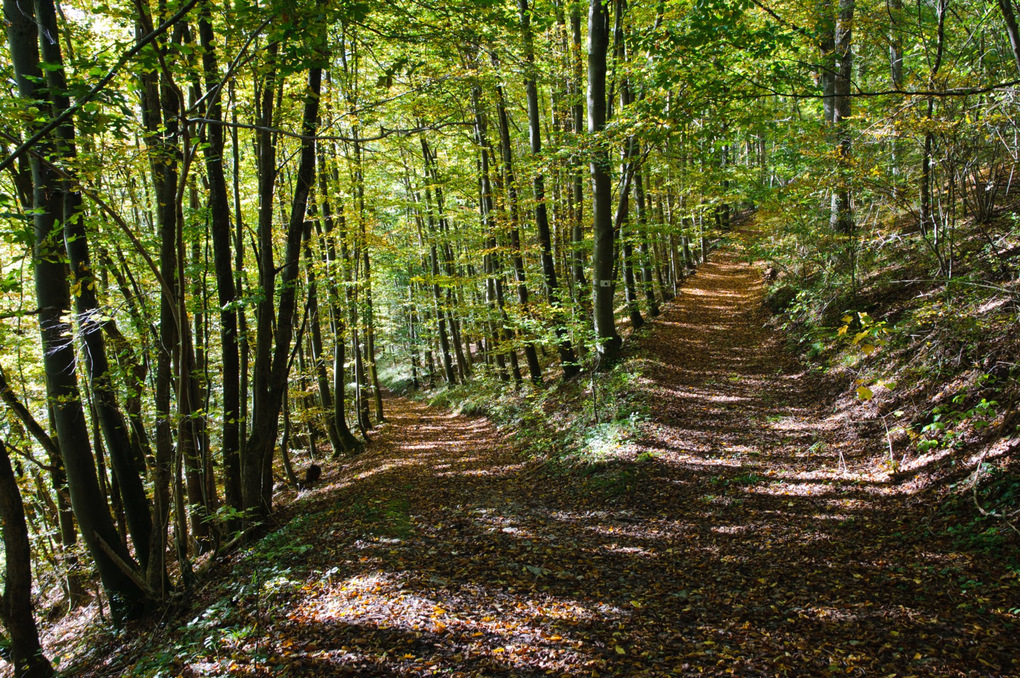 Wanderweg vom Schloss Stetten zur Burg Tierberg Wanderung von Schloss Stetten nach Tierberg.