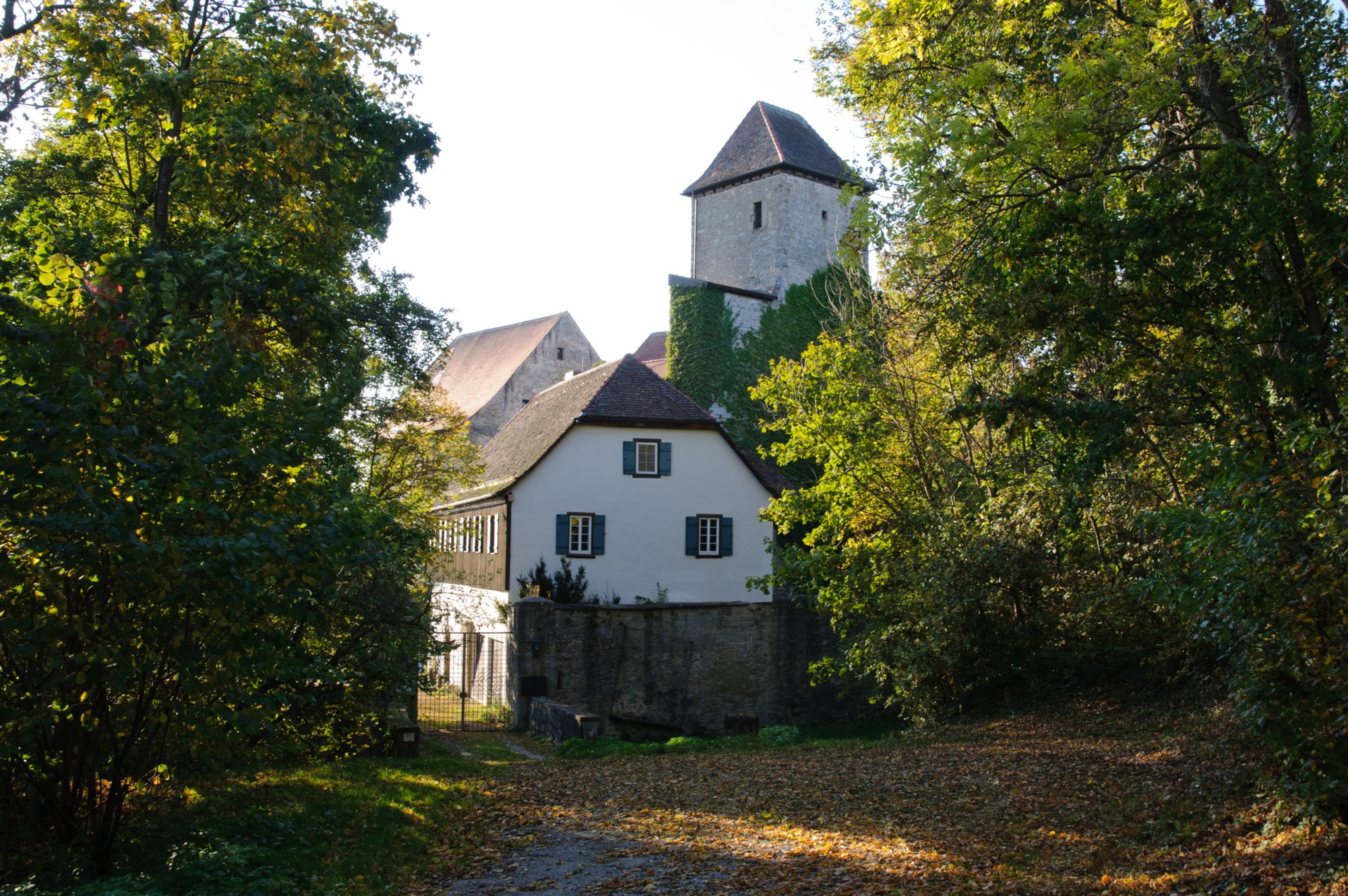 Burg Tierberg Burg Tierberg