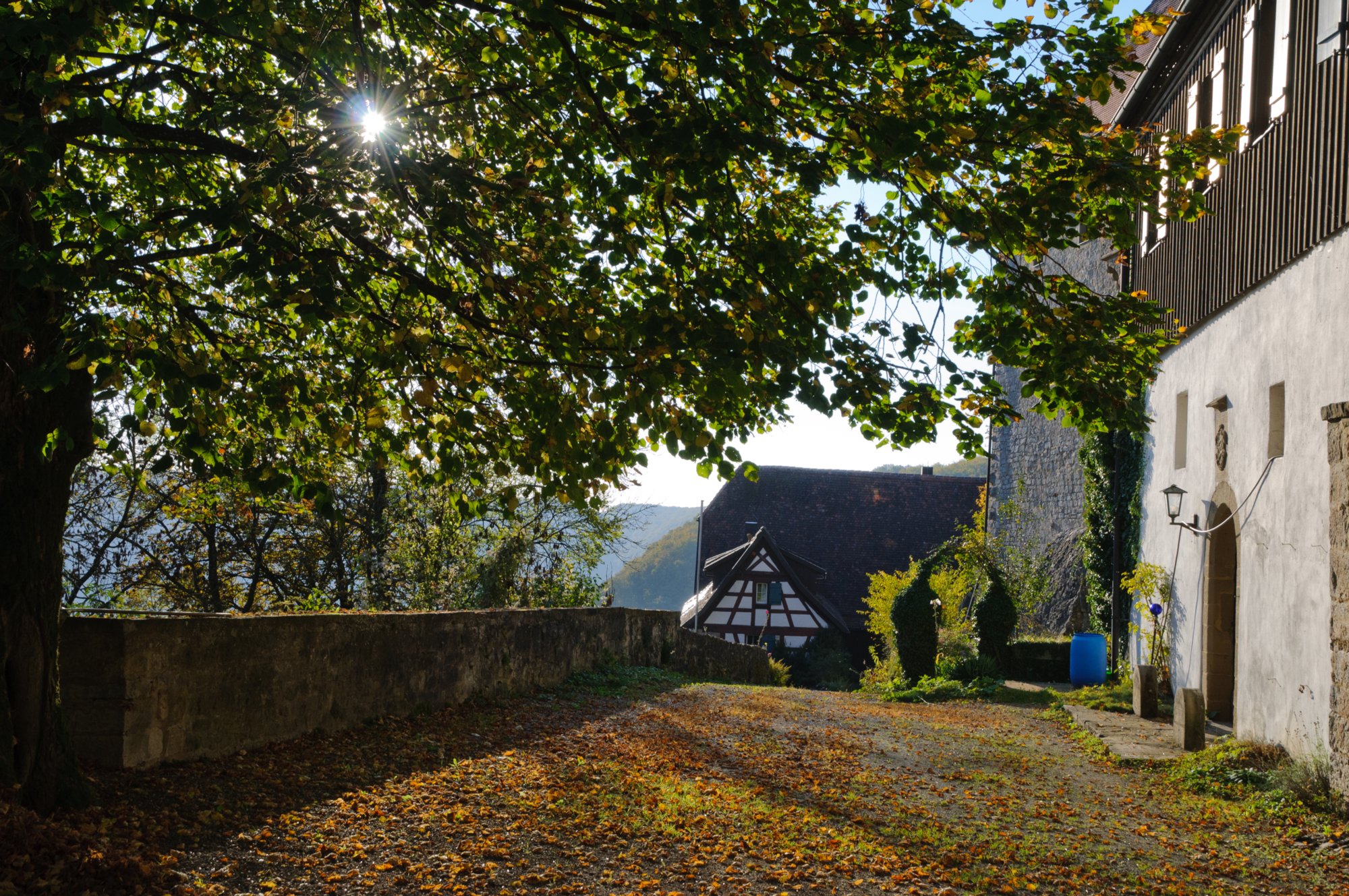 Burg Tierberg Burg Tierberg