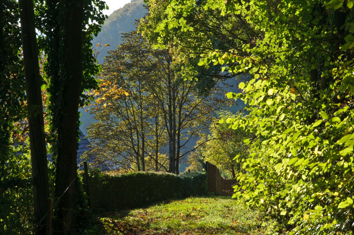 Wanderweg vom Schloss Tierberg ins Kochertal Wanderung von Burg Tierberg hinab ins Kochertal.