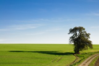 20101011_stetten_tierberg_086-1