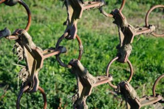 20101011_stetten_tierberg_098-1