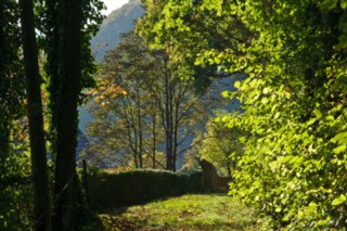 20101011_stetten_tierberg_115-1