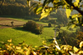 20101011_stetten_tierberg_118-1