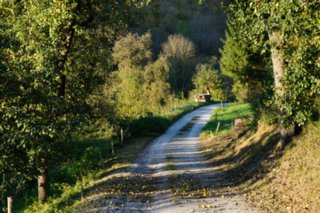 20101011_stetten_tierberg_127-1