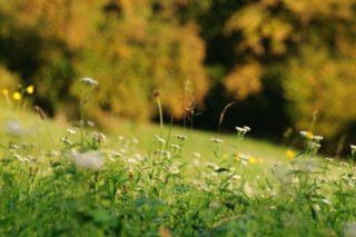 20101011_stetten_tierberg_153-1