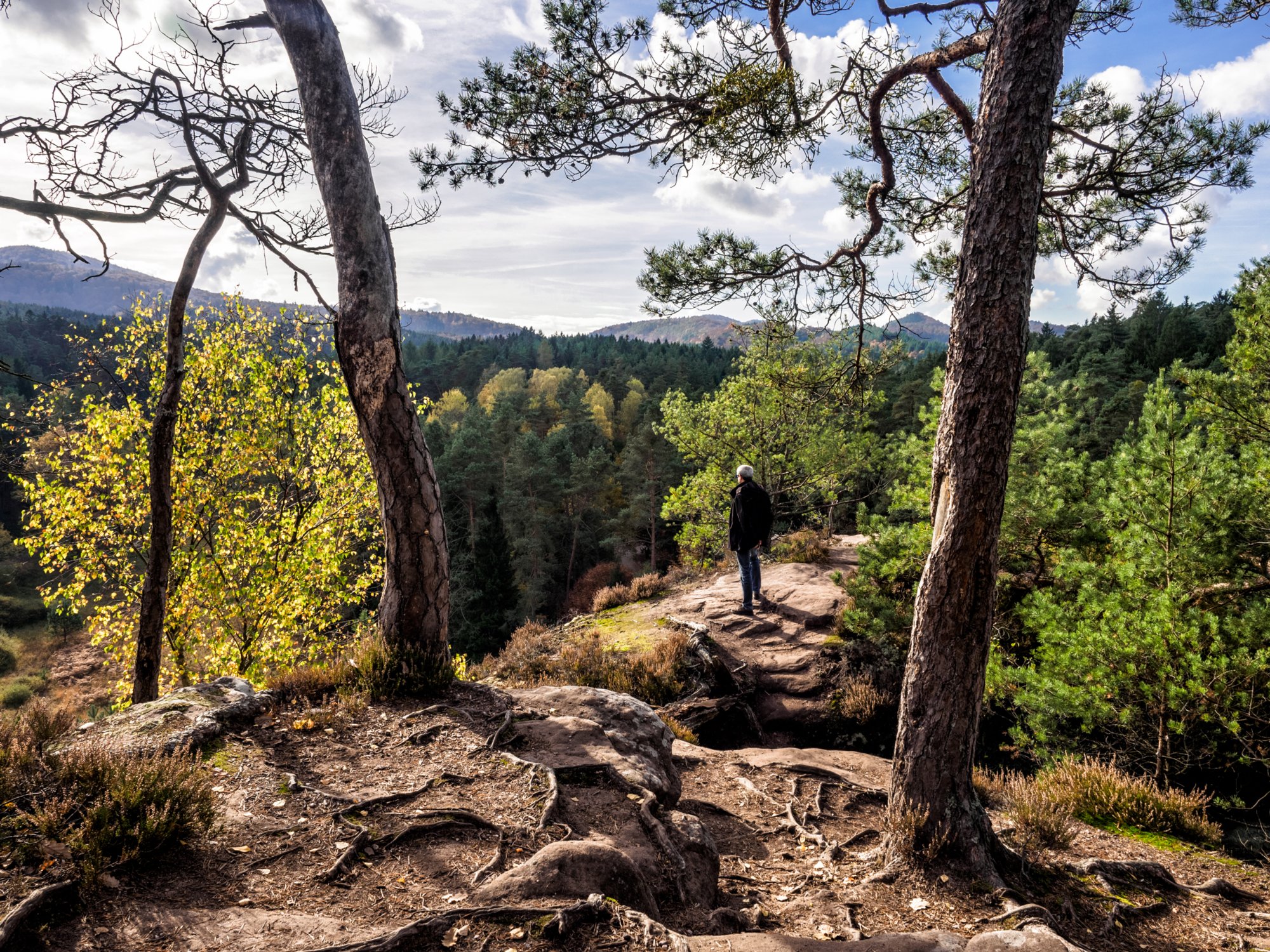 Elwetritschefels Dahner Felsenpfad (westlicher Teil). Start und Endpunkt: Parkplatz FelsenGraf /Steakhous, Im Büttelwoog 2.