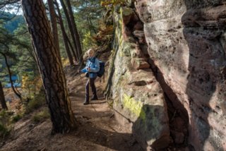 20161103_felsenpfad_dahn_153