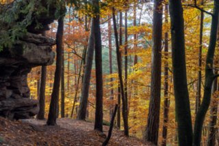 20161103_felsenpfad_dahn_247
