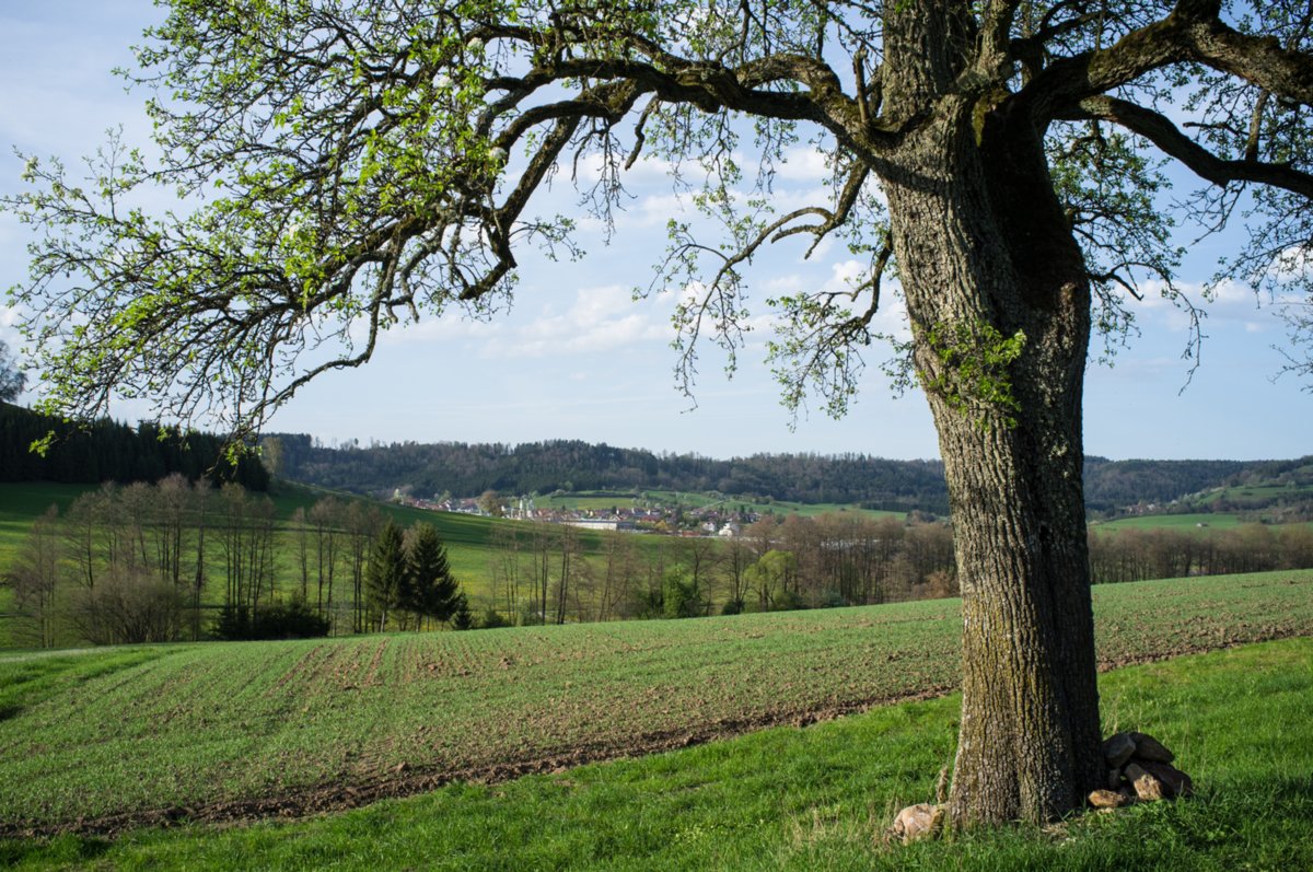 20120428_ökum-kirchenweg_014 