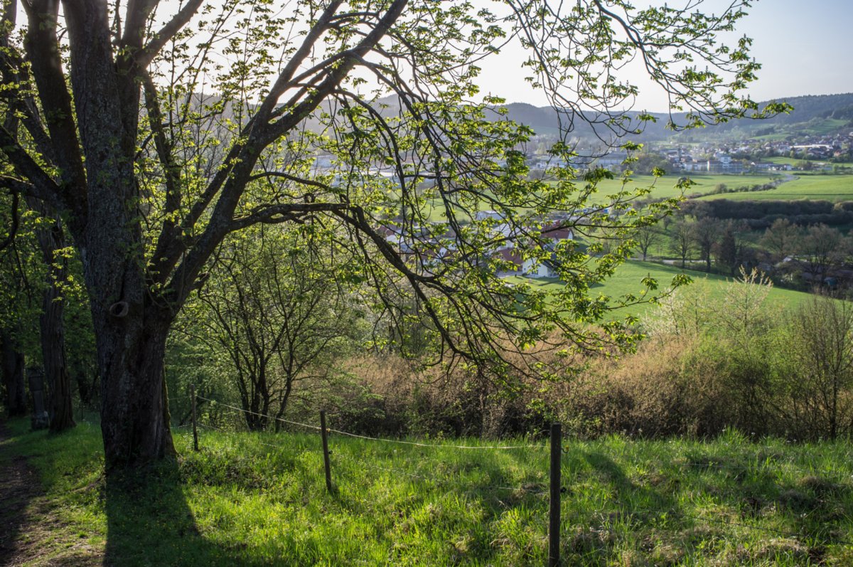 20120428_ökum-kirchenweg_032 