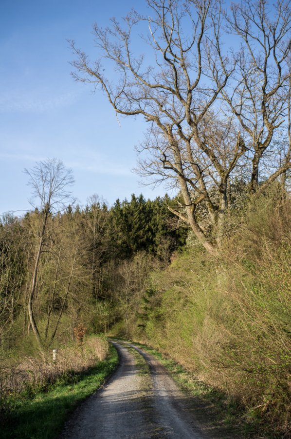 20120428_ökum-kirchenweg_036 