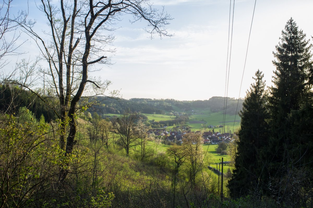 20120428_ökum-kirchenweg_037 