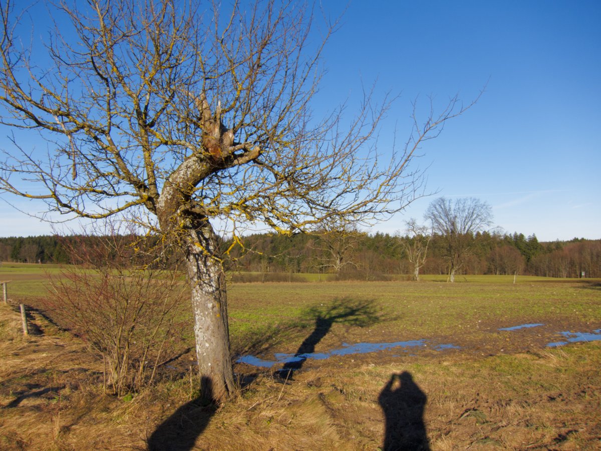 Oberrot Kornberg - Sittenhardt Spaziergang von Oberrot-Kornberg nach Sittenhardt. Wasserturm auf dem Kornberg.