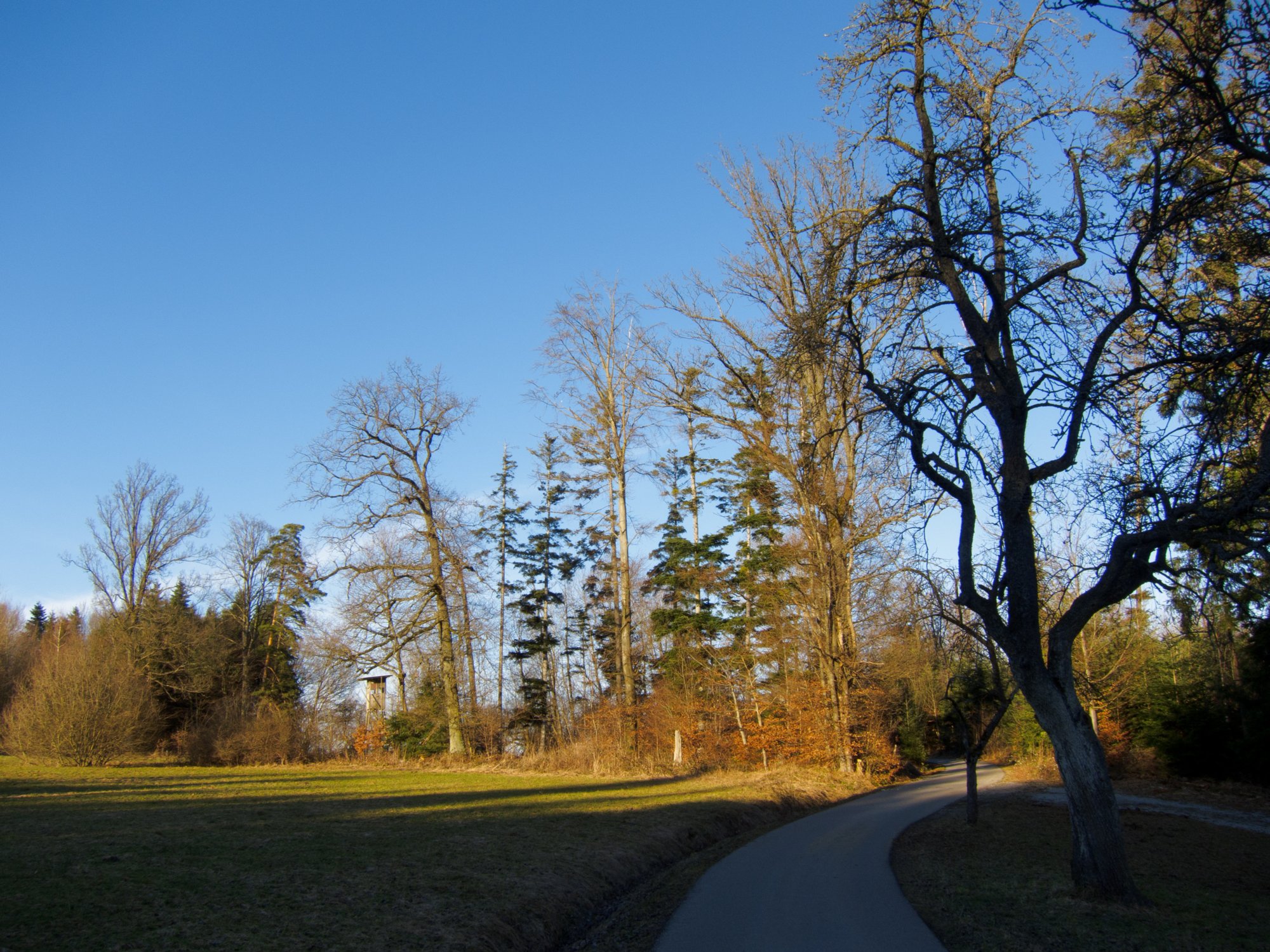 Oberrot Kornberg - Sittenhardt Spaziergang von Oberrot-Kornberg nach Sittenhardt. Wasserturm auf dem Kornberg.