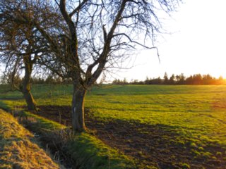 20110207_kornberg_056