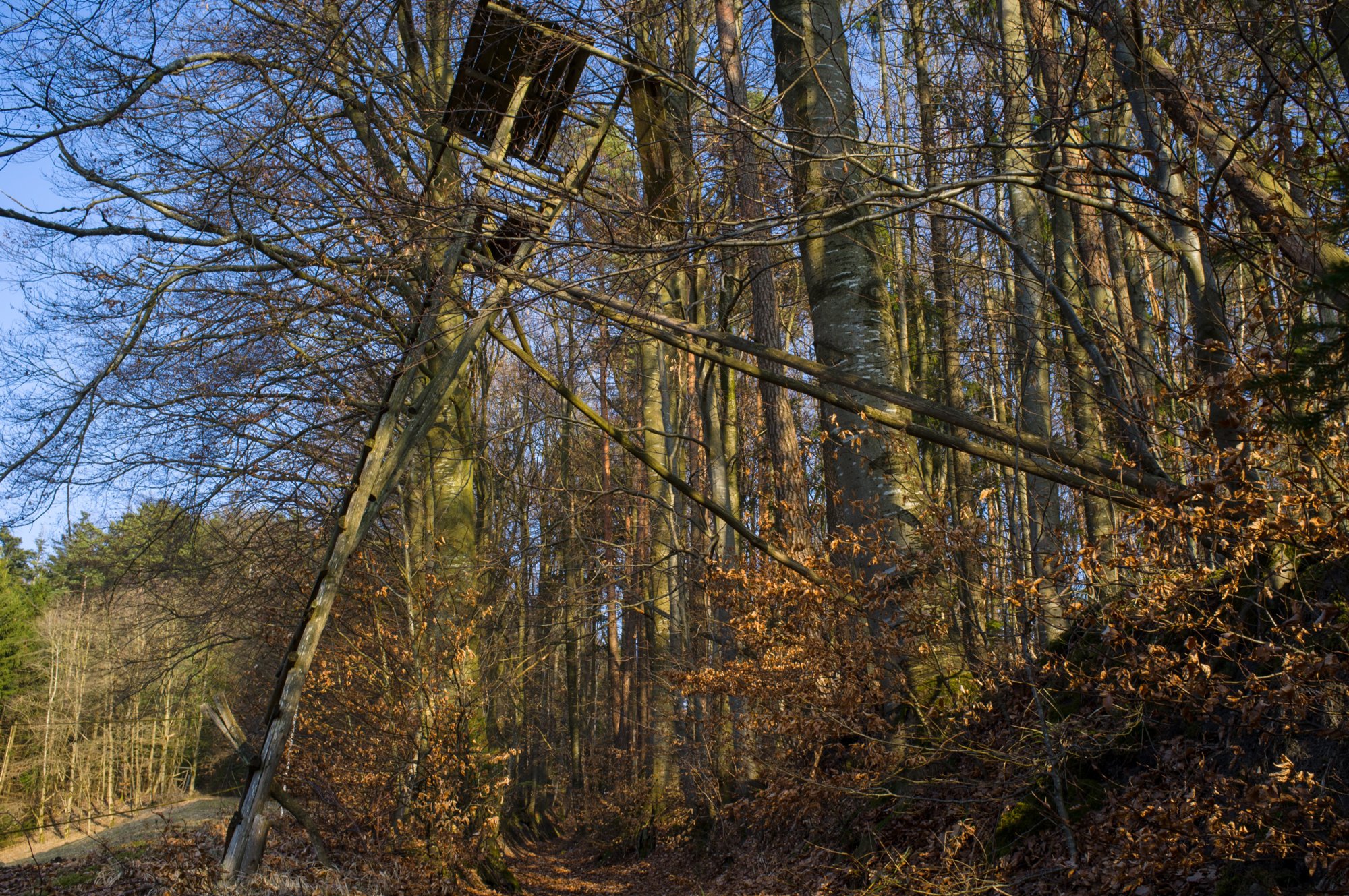 Oberrot - Obermühle - Ebersberg Abstieg über einen Hohlweg zur Obermühle. Wanderung von Oberrot zum Weinberg und Wasserreservoir. Oberhalb der Amselhalde. Abstieg über malerischen Holweg zur Obermühle. Ebersberger Sägmühle. Ebersberg. Oberrot.