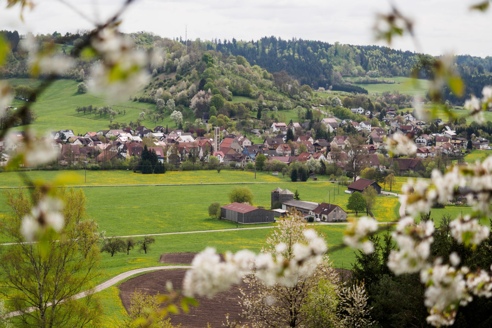 20150427_wiesenbachrunde_026 