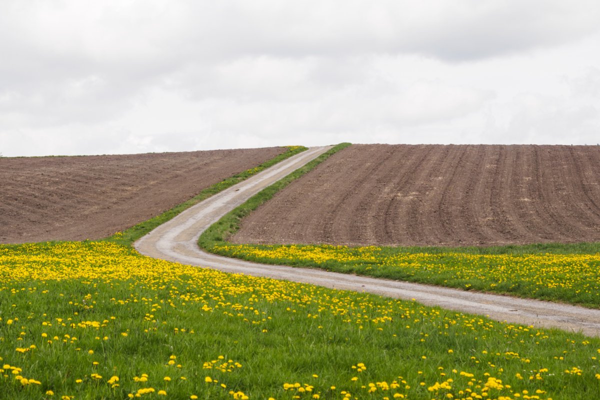 20150427_wiesenbachrunde_050 