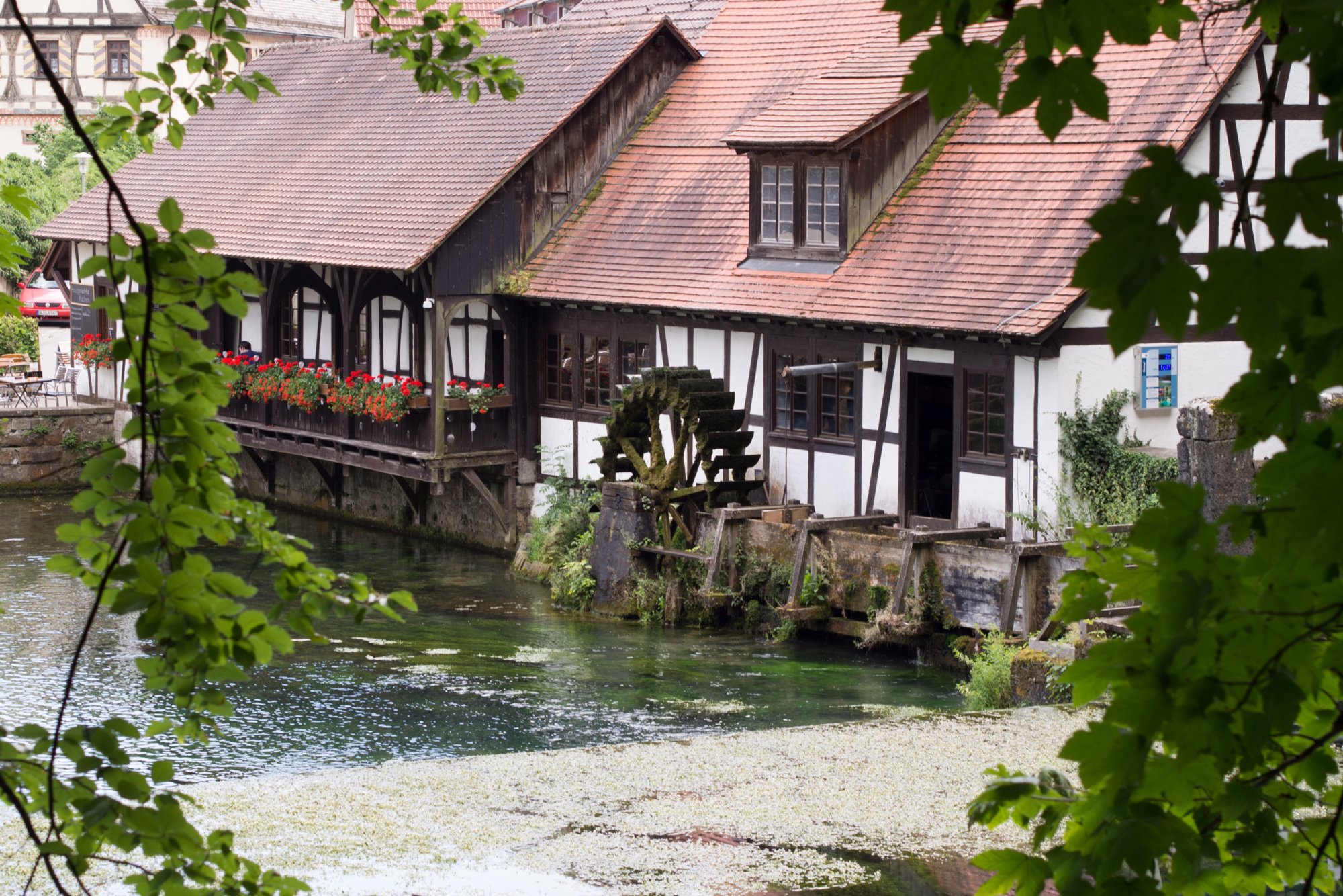 Am Blautopf Wanderung von Blaubeuren Bahnhof zum Rusenschloss. Von dort über den Knoblauchfelsen zum Blaufelsen. Hinunter zur B28. Diese überquerend Aufstieg auf Teerweg bis zur Steigziegelhütte, da Abzweig nach links zum Landeplatz Seißen nicht gefunden. Entlang am Waldrand zur Wegmarkierung. Dieser folgend zur Günzelburg. Von dort zum Felsenlabyrinth und zur Küssenden Sau. Abstiefg zum Bahnhof. Mit dem Auto zum Blautopf.